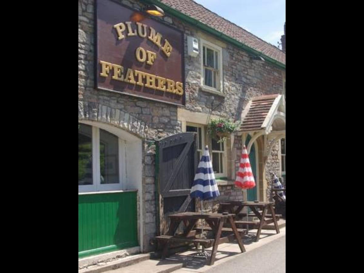 Plume Of Feathers